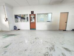 Ubiplex 1 (D14), Factory #557606381